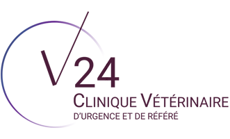 V24 Clinique vétérinaire